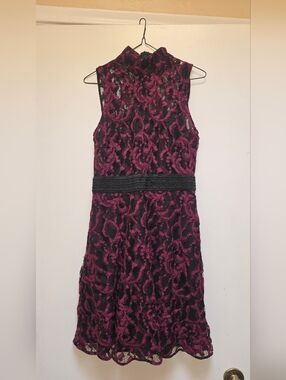Rachel Rachel Roy Sleeveless Lace Overlay Dress in Cerise/Black Size